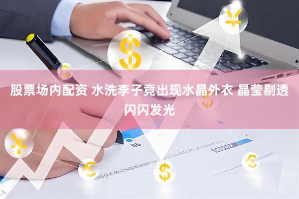 股票场内配资 水洗李子竟出现水晶外衣 晶莹剔透闪闪发光