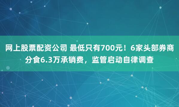 网上股票配资公司 最低只有700元！6家头部券商分食6.3万承销费，监管启动自律调查