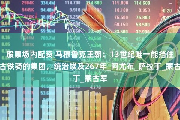股票场内配资 马穆鲁克王朝：13世纪唯一能挡住蒙古铁骑的集团，统治埃及267年_阿尤布_萨拉丁_蒙古军