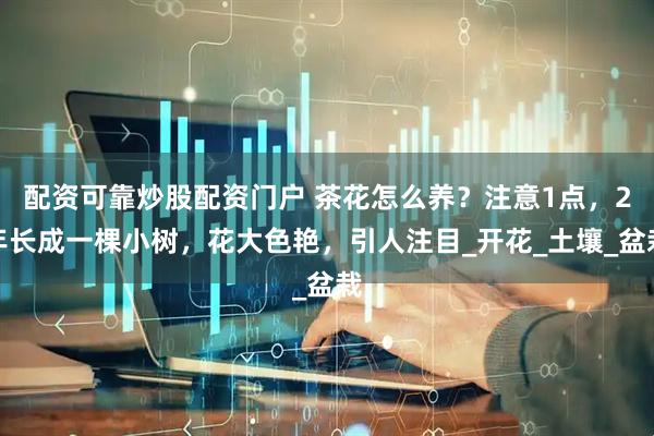配资可靠炒股配资门户 茶花怎么养？注意1点，2年长成一棵小树，花大色艳，引人注目_开花_土壤_盆栽