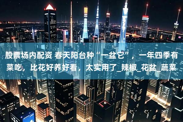 股票场内配资 春天阳台种“一盆它”，一年四季有菜吃，比花好养好看，太实用了_辣椒_花盆_蔬菜